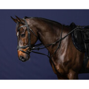 Complete horse longe reins Dy’on Howlett
