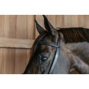 Combined training noseband bridle Dy’on
