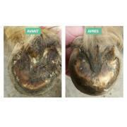 Spray for treating severe sole and fork rot for horses Ekin 200 mL