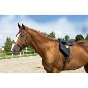 Halter for thoroughbred horse leather grooming ERIC THOMAS “Pro”