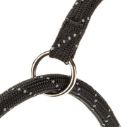Choke collar for dogs Ferplast Sport Reflex CS13/50