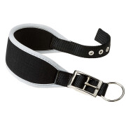 Dog collar Ferplast Ergocomfort CW25/46