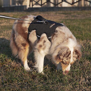Dog harness Ferplast Ergotrekking