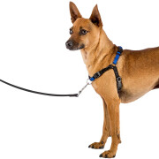 Dog harness Ferplast Coach P