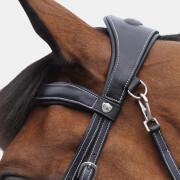 Combined riding bridles Flags&Cup Comfort