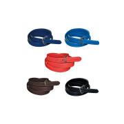 Stirrup Leathers nylon covered Flags&Cup