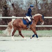 Saddle pad for horses GEM Love