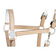 Leather halter for horses Harry's Horse Cremello