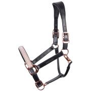 Leather halter for horse Harry's Horse Broadway