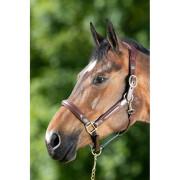 Leather halter for horse HFI Wave