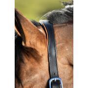 Leather halter for horse HFI Two-Tone