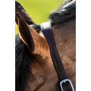 Leather halter for horse HFI Two-Tone