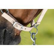 Halter for horse HFI First