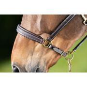 Leather halter for horse HFI