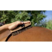 Extra soft horse riding brush Hippotonic