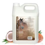 Coconut shampoo for horses Horse Of The World 5 l