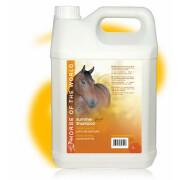 Summer horse shampoo Horse Of The World 5 l