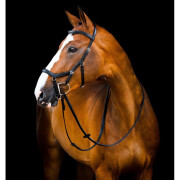 Riding bridles with rubber reins Horseware Micklem 2 Deluxe