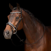 Bridles HV Polo Legacy deluxe