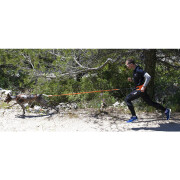 Canicross leash I-DOG One