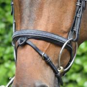 Bridles crystal Jump'In Collection Week
