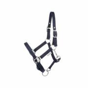 Halter for horses in two different sizes Kavalkade Shorty