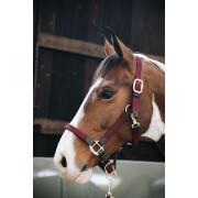 Halter for horse nylon braided Kentucky