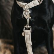 Wool dog leash Kentucky 120 cm