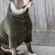 Dog sweater Kentucky Teddy Fleece