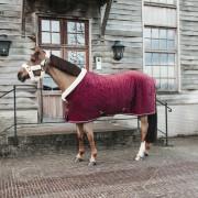 Presentation blanket for horse Kentucky Velvet 160 g