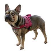 Dog harness Kerbl Maestro 2.0