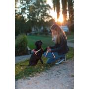 Reflective Norwegian dog harness Kerbl