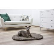 Cushion for dog Kerbl