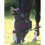Halter and lead rope set for horse Mrs. Ros