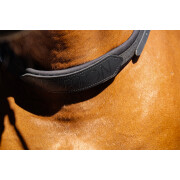 Necklace for bareback riding horses Norton