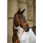 Ethological halter and lead rope for horse Norton Fluo
