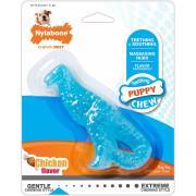 Dog toy Nylabone Puppy Teething Dental Dino - Chicken Flavour S