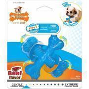 Dog toy Nylabone Puppy Teething X Bone - Beef Flavour XS