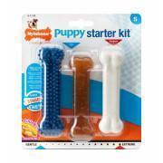 Set of 3 dog toys Nylabone Puppy Starter Kit - 1 Puppybone Chicken / 1 Extreme Chew Chicken / 1 Dental Blue S