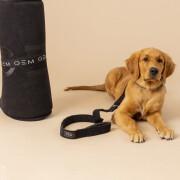 Dog collar & leash pack GEM