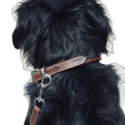 Dog collar Pénélope Point Sellier