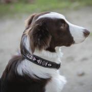 Dog collar Pénélope Pearl