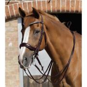 Horse Reins Premier Equine Luigi