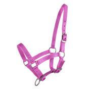 Halter for foal QHP