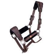 Halter for horse QHP Classy
