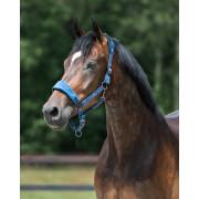 Halter for horse QHP Summer Glow