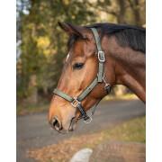 Halter and lead rope set for horse QHP collection Botanista