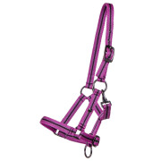 Foal halter QHP Collection