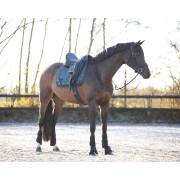 Saddle pad for horses QHP Fenna