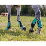 Hind cross-country gaiters for horses QHP Technical